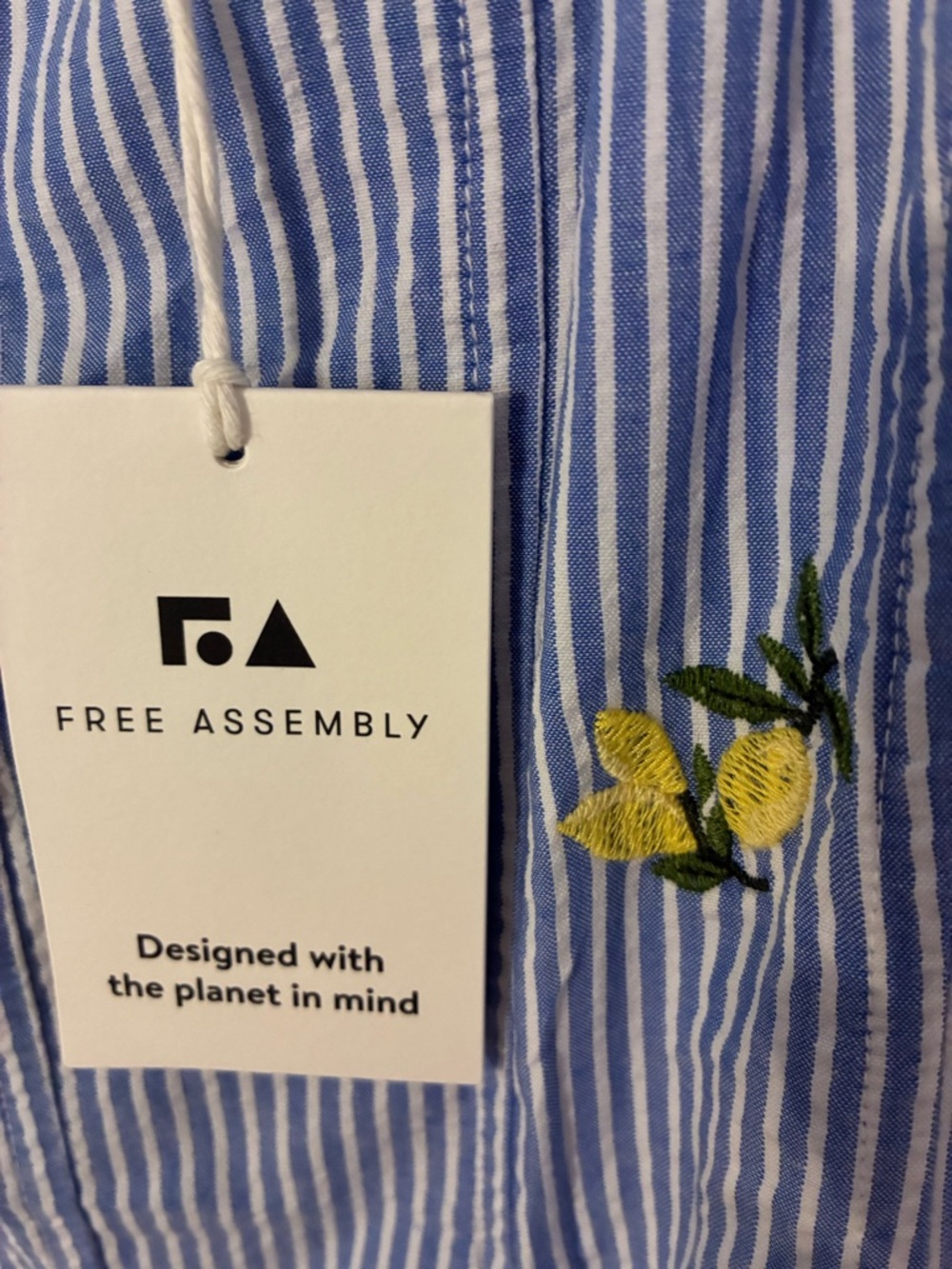 Women’s Free Assembly Blue Striped Lemon Embroidered Dress - Picture 4 of 11